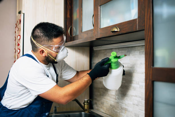 Best Pest Prevention Services  in Burns Harbor, IN