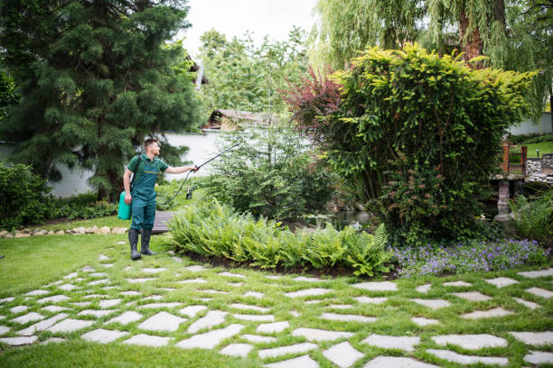 Wasp Removal Services in Burns Harbor, IN