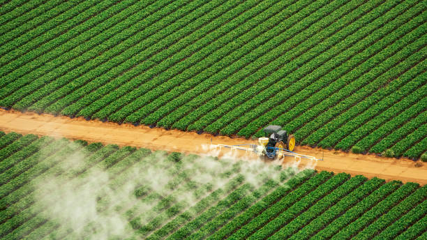 Best Commercial Pest Control Services  in Burns Harbor, IN