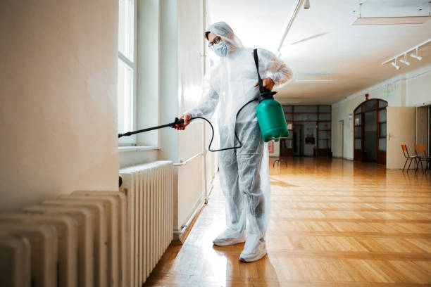 Best Termite Control Services  in Burns Harbor, IN