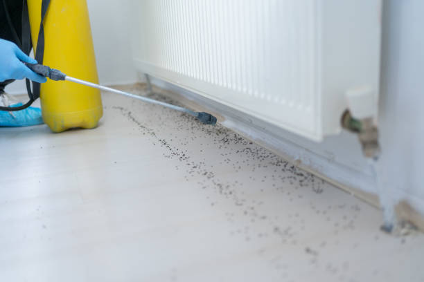 Best Pest Control for Restaurants  in Burns Harbor, IN